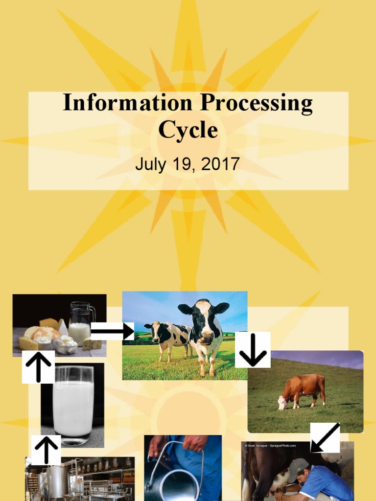 Information Processing Cycle | PDF
