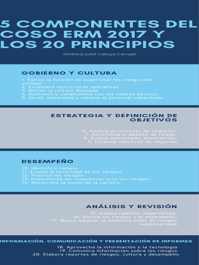 Componentes y Principios del COSO ERM 2017 | PDF
