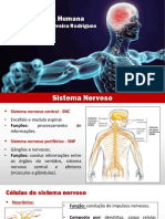 Aula 6. Fisiologia - Sistema Nervoso