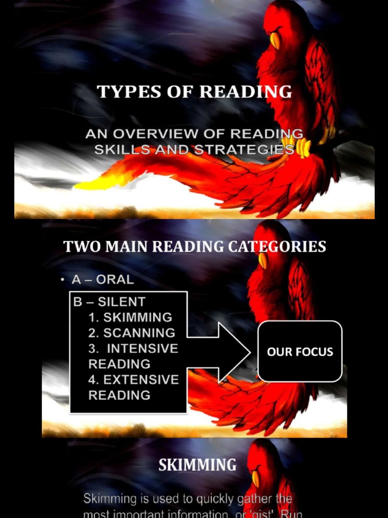 Reading Styles PDF