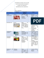 Indicadores Microbiológicos