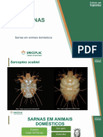 Sarnas, Piolhos e Pulgas