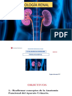 13. Fisiologia Renal