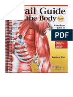 Trail Guide To The Body: How To Locate Muscles, Bones and More - Andrew Biel