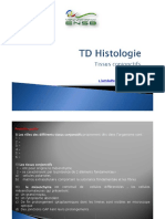 TD Histologie  Tissu conjonctif 2019