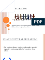 Cultural Pluralism: Clarence Jenkins, Cody Lanser, Danielle Johnson, Fatun Mohamed, Amy Lofgren, Chris Prissel