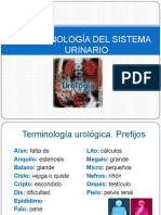 Clase 4 - Sist. Renal