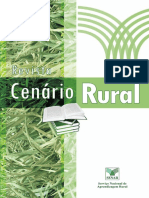 Cenario Rural V3