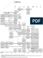 Estructura Académica Ingeniería de Alimentos Reforma