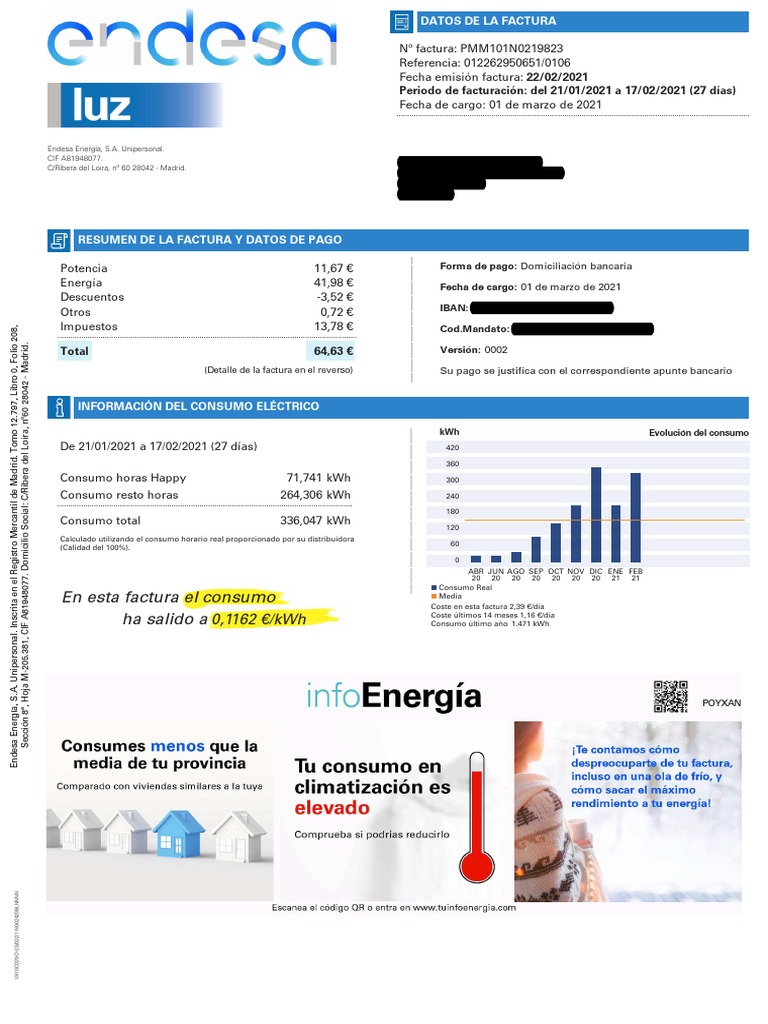 Factura de Luz Endesa: Febrero 2021 | PDF | Consumo (economía ...
