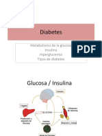 Diabetes y metabolismo glucosa