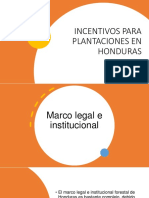 Incentivos para Plantaciones en Honduras