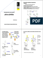 14_e_15_slides-Metabolismo_dos_nucleotideos-2015