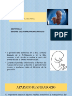 Fisiologia Fetal