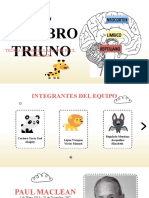 Cerebro Triuno