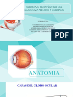 Abordaje terapéutico del glaucoma abierto y cerrado