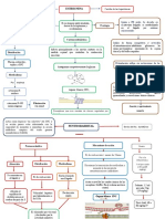 Mapa Estricnina y Pentobarbital