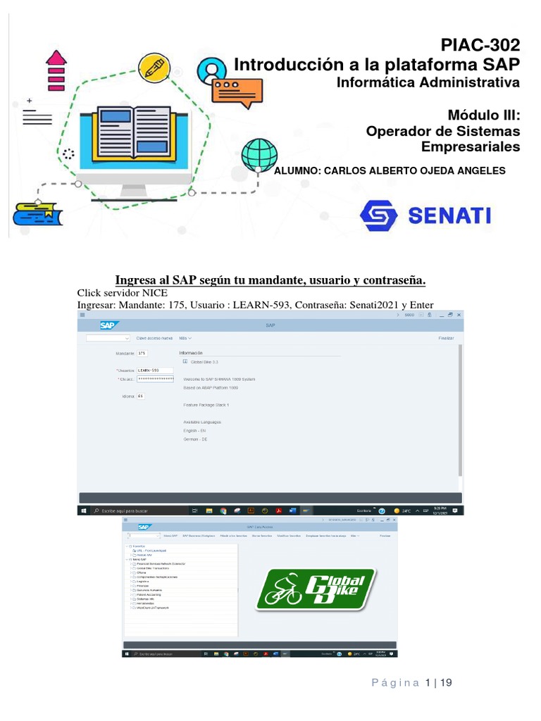 Configuración y operación básica de la interfaz SAP | PDF | Software ...