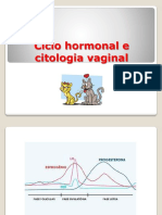 Ciclo Hormonal e Citologia