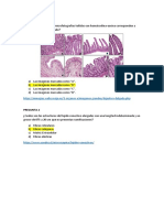 Aparcana Choque Winny Dayanne - Fisiopatoloiga - Practica 1