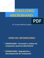 4.1 Metabolismo Microbiano