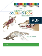 Veterinary Anatomy Coloring Book - Saunders
