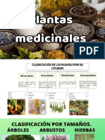 Clase Plantas Medicinales