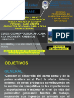 GESTIÓN E IMPACTO AMBIENTAL Y PROYECTO DE INVERSIÓN