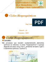 Aula - 05 - Disciplina - Ecologia - e - Meio - Ambiente-28-02-2019 - Ciclos - Biogeoquímicos