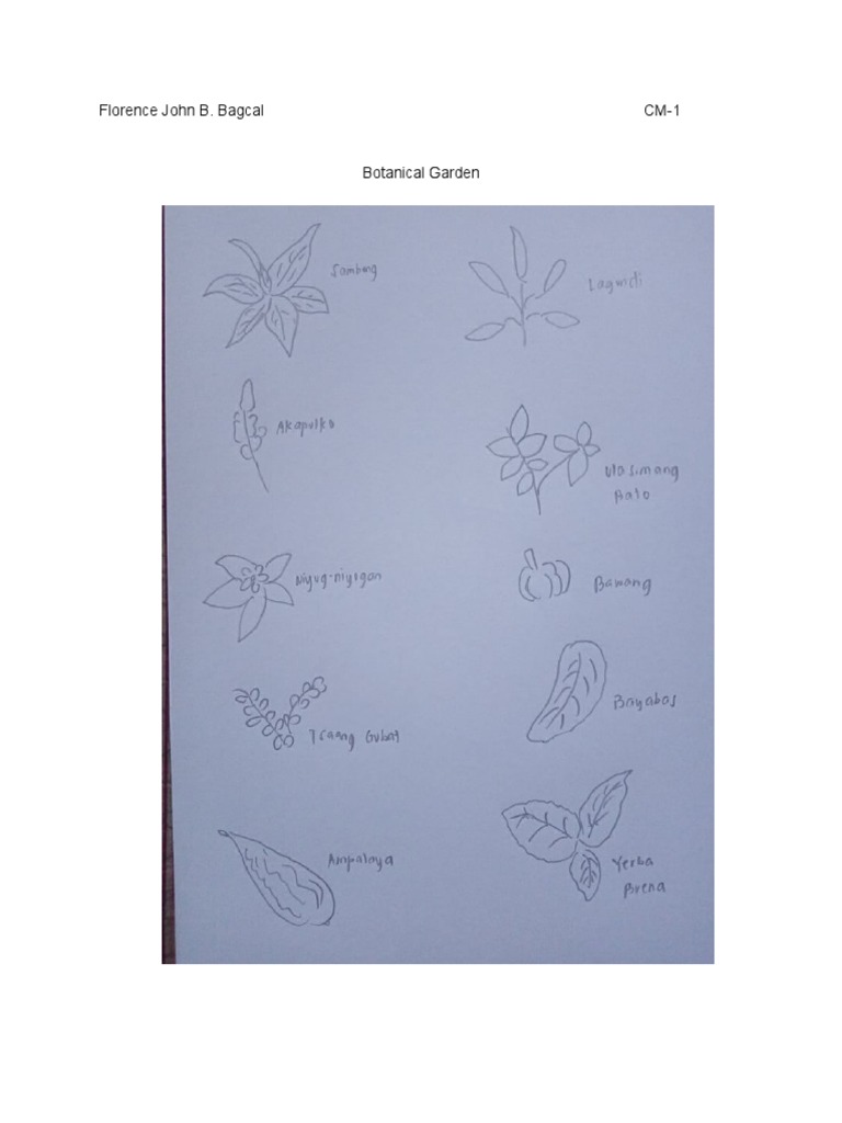 NSTP Botanical Garden PDF Common Cold Diarrhea