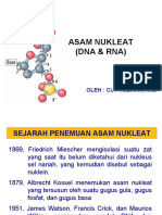 Asam Nukleat (DNA &RNA)