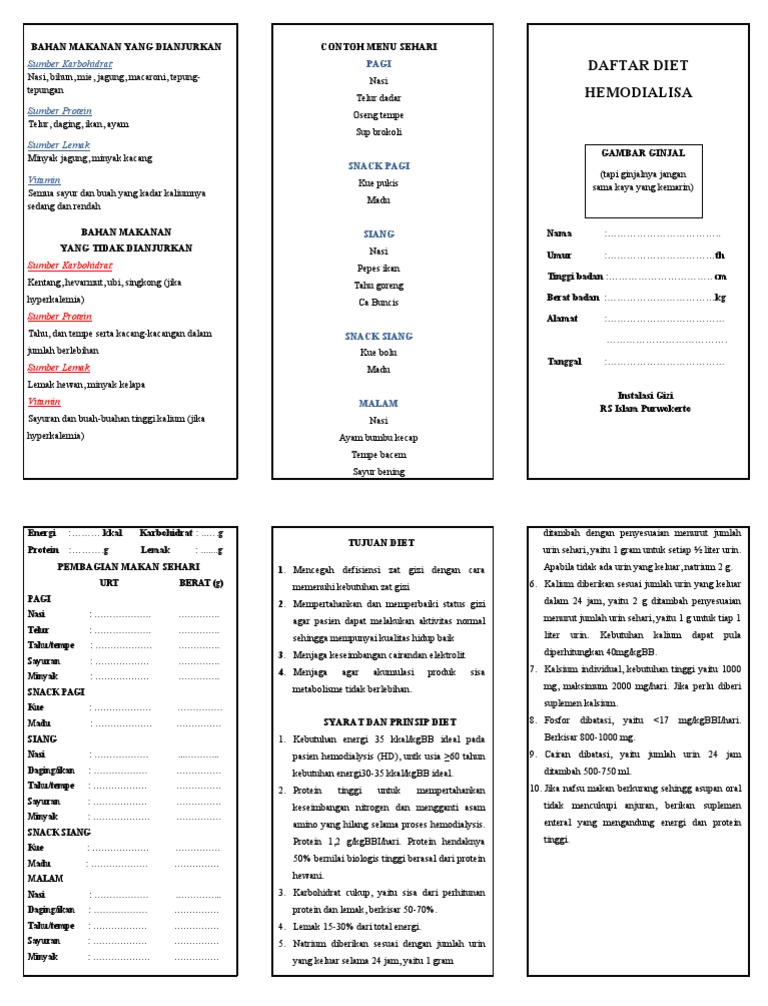 Daftar Diet Hemodialisa | PDF