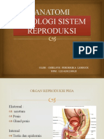 Anatomi Fisiologi Sistem Reproduksi (Chielsye Lerrick)