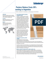 Saltel Xpandable Ecp Argentina Cs