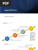 Appeal Process: Judge Anne S. Rivera-Sia