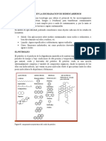 Biorremediacion en La Degradacion de Hidrocarburos