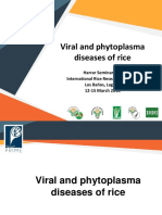 Day 1 - Viral Phytoplasma Diseases