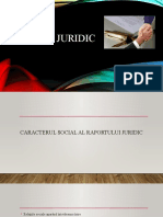 Raportul Juridic