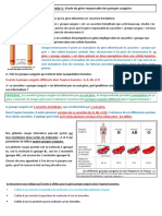 Correction de Lactivitc3a9 3 Etude Du Gc3a8ne Responsable Des Groupes Sanguins