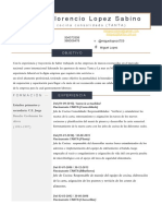 Curriculum Vitae de Miguel Lopez