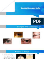 Group 4 Microbial Diseases of The Eye1