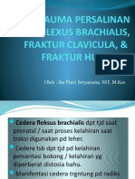 Flexus & Fraktur