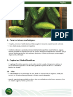 Ficha Tecnica Dossier Fazenda Pepino