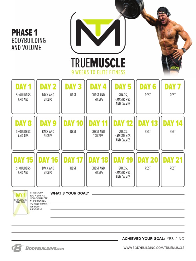 True Muscle Calendar | PDF | Limbs (Anatomy) | Hobbies