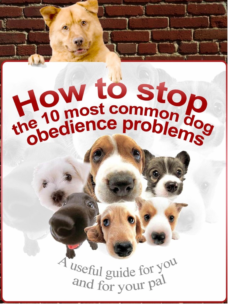 Dog Behavior Solutions Guide | PDF | Dog Training | Dogs