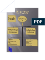 Modul 2 Peta Konsep Feby Lita Putri