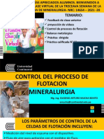 Control Del Proceso de Flotacion (1)