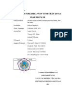 Laprak 3 Organ Vegetatif