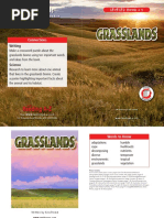 Raz Lv29 Grasslands CLR