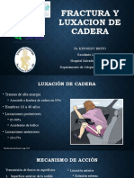 Fractura y Luxacion de Cadera 2